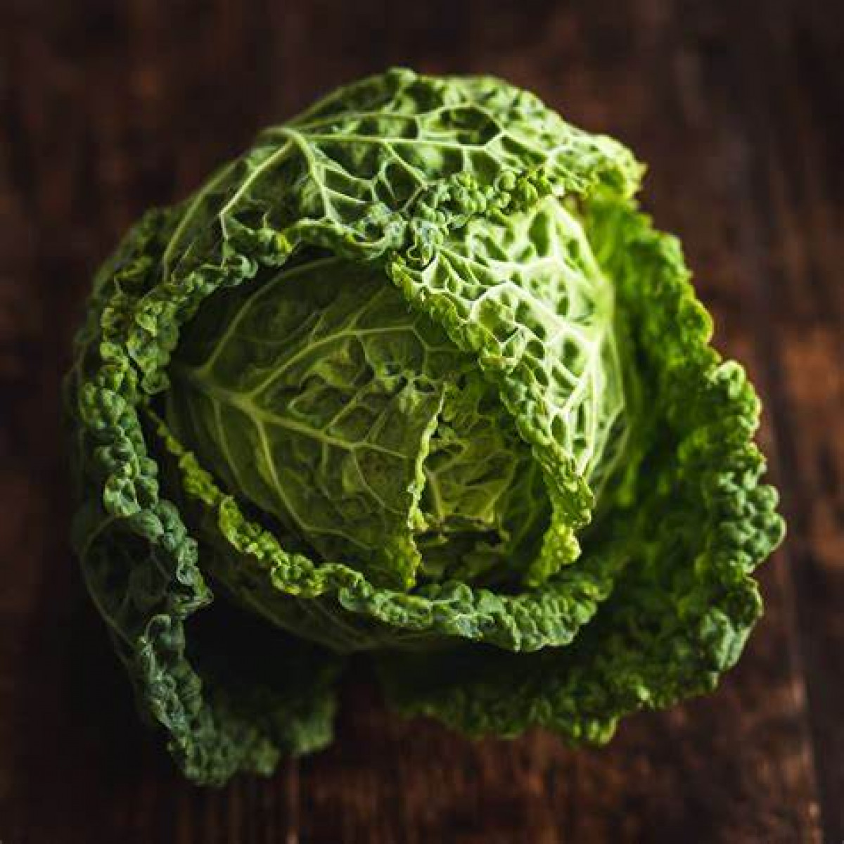 Product picture for Cabbage, Savoy