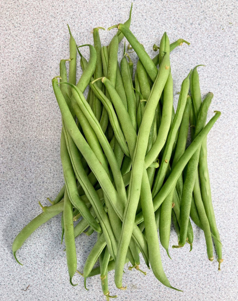 Thumbnail image for French Beans