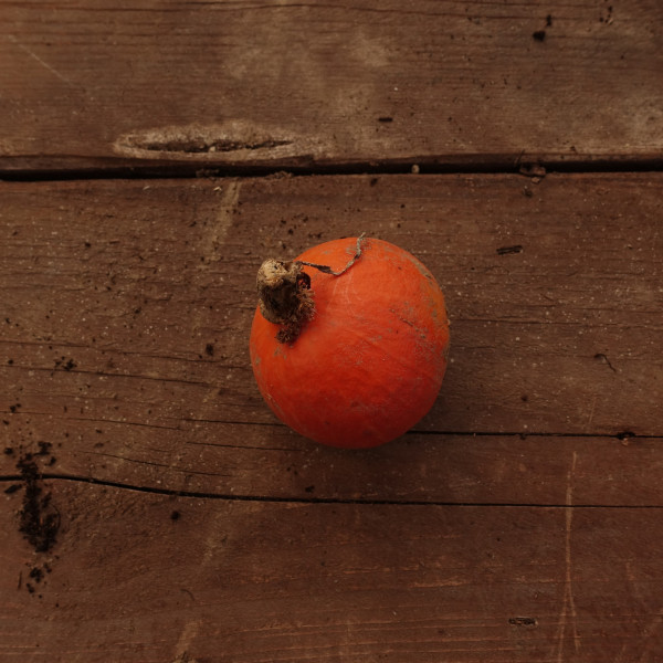 Thumbnail image for Squash, Winter - Kuri