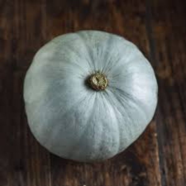Thumbnail image for Squash, Crown Prince