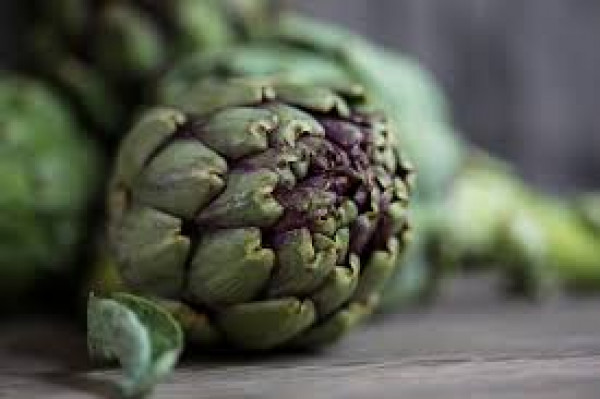 Thumbnail image for Globe Artichoke