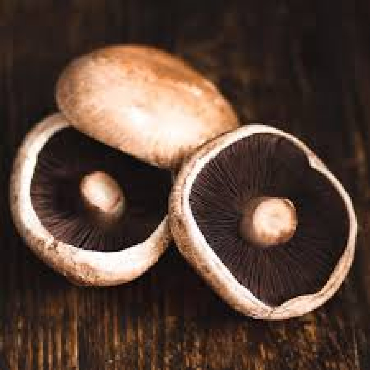 Product picture for Mushrooms, Portobello
