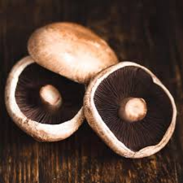 Thumbnail image for Mushrooms, Portobello