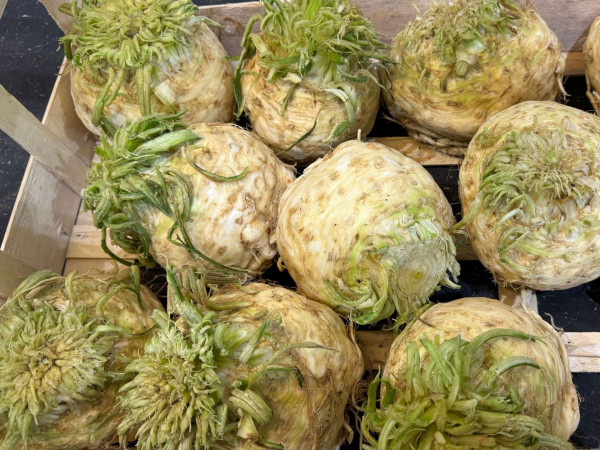 Thumbnail image for Celeriac