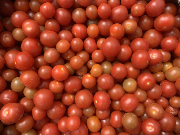 Thumbnail image for Cherry Tomatoes