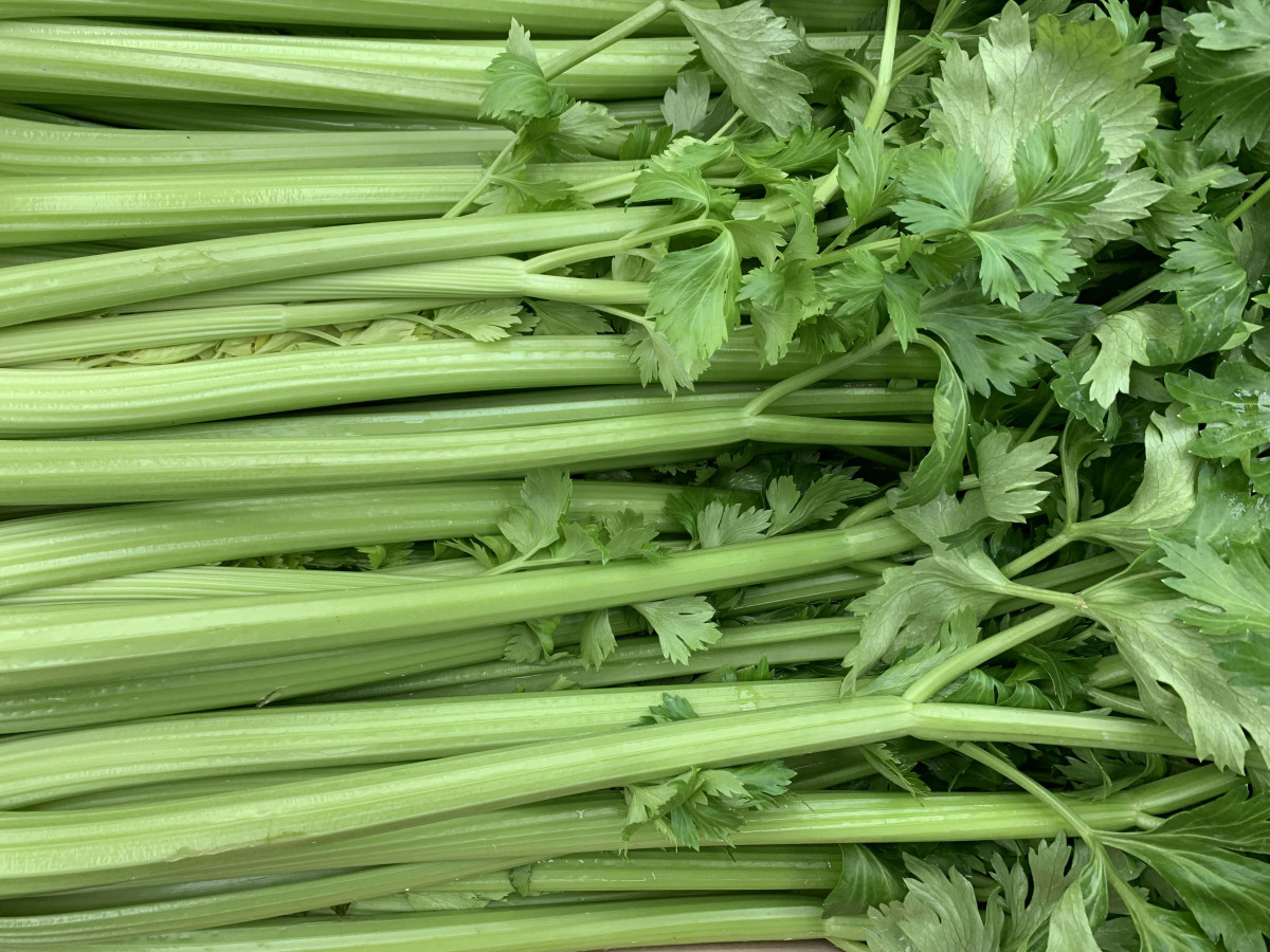 Product picture for Celery