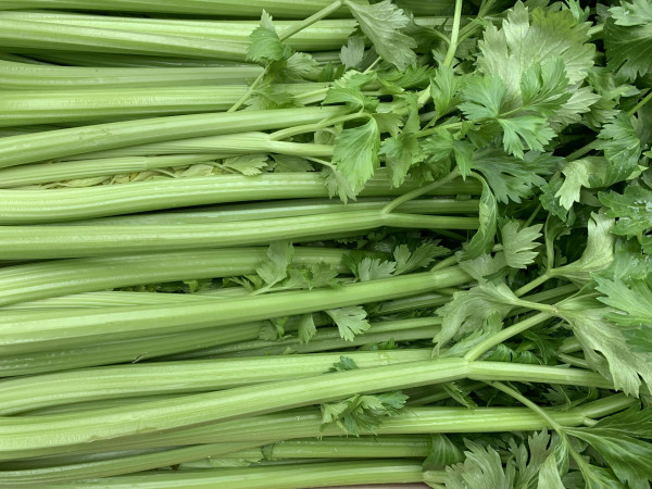 Thumbnail image for Celery