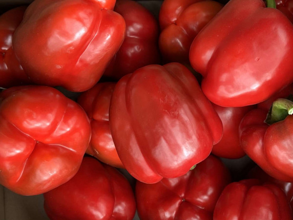 Thumbnail image for Peppers, Red