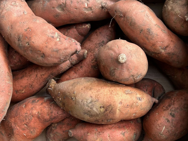 Thumbnail image for Sweet potatoes