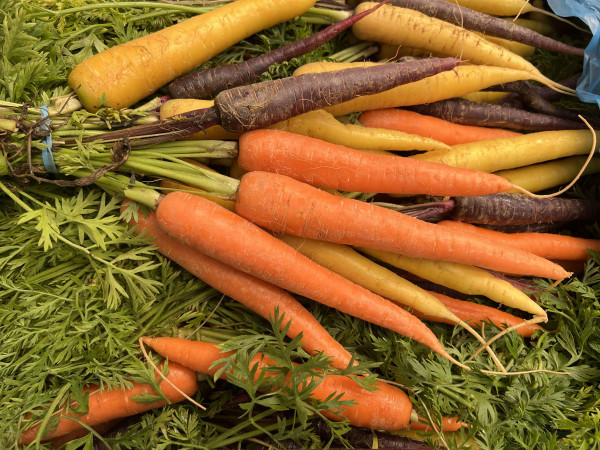 Thumbnail image for Bunched carrots, rainbow - UK