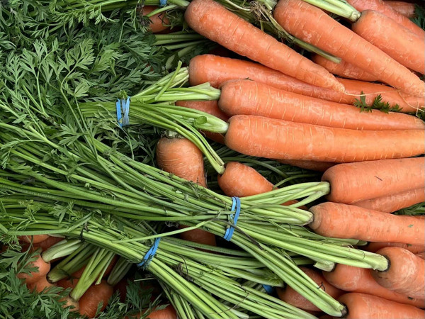 Thumbnail image for Carrots, bunched