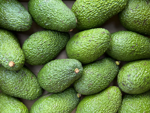 Thumbnail image for Avocado