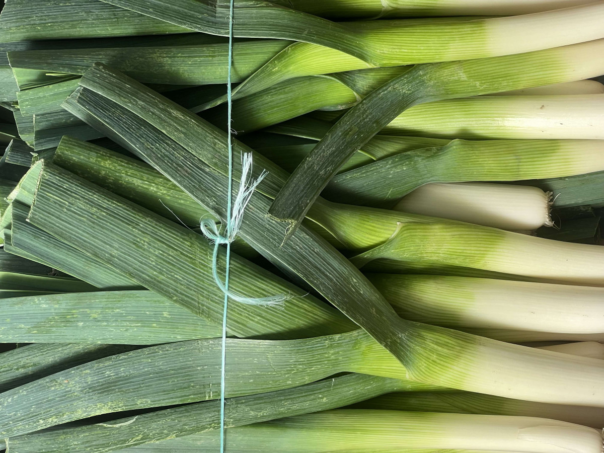 Product picture for Leeks- UK