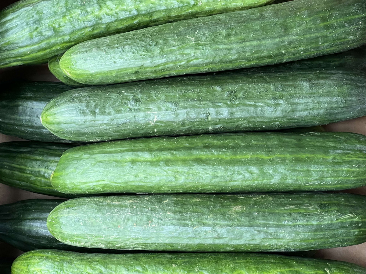 Product picture for Cucumber