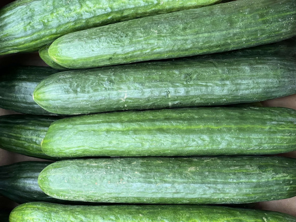 Thumbnail image for Cucumber