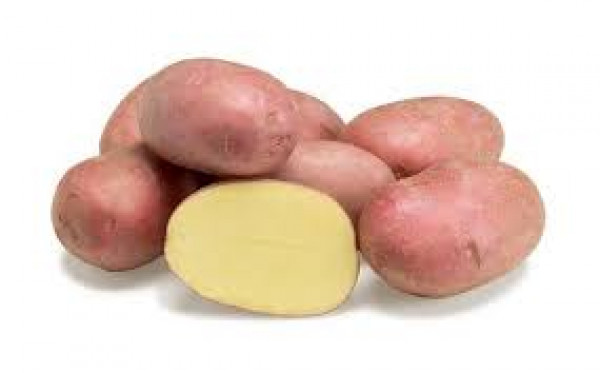 Thumbnail image for Potatoes - Alouette