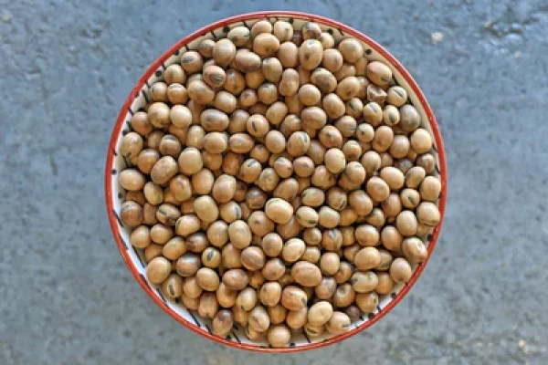 Thumbnail image for Organic whole fava beans