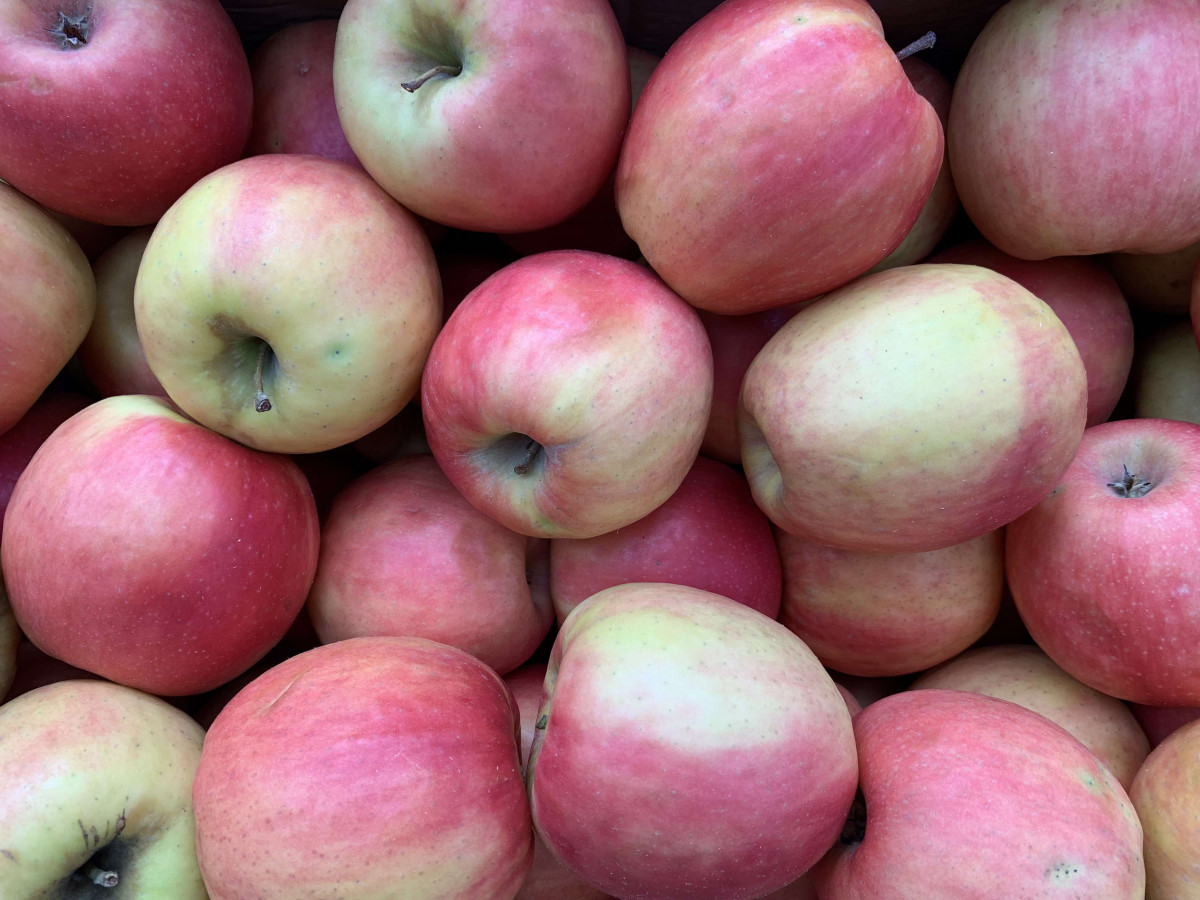 Product picture for Apples - Cripps Pink