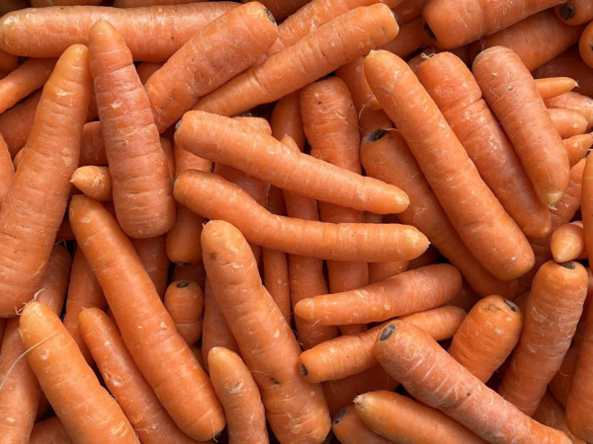 Product picture for Carrots - large share