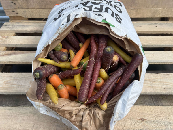 Thumbnail image for Carrots - large share