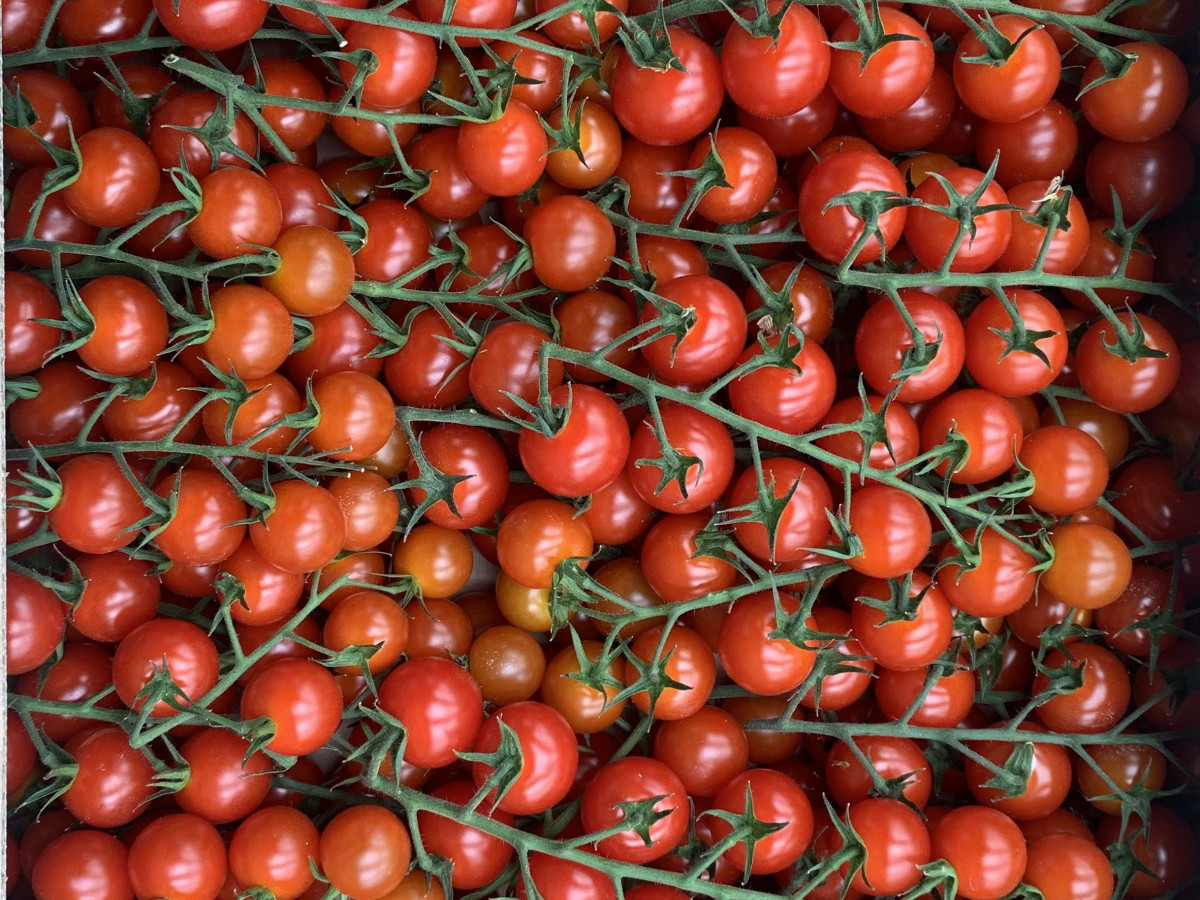 Product picture for Tomatoes, Cherry Vine - UK