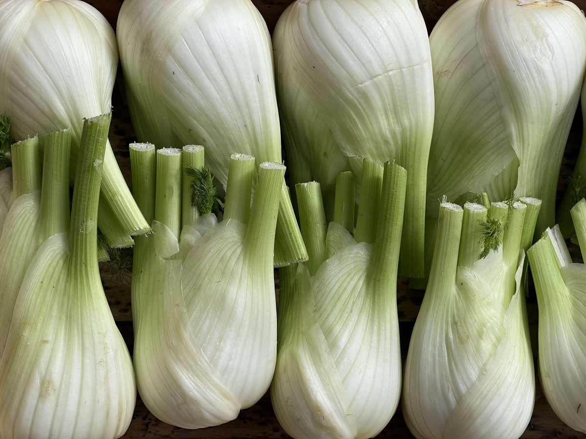 Product picture for Fennel