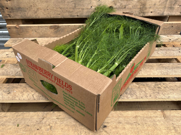 Thumbnail image for Fennel- with tops