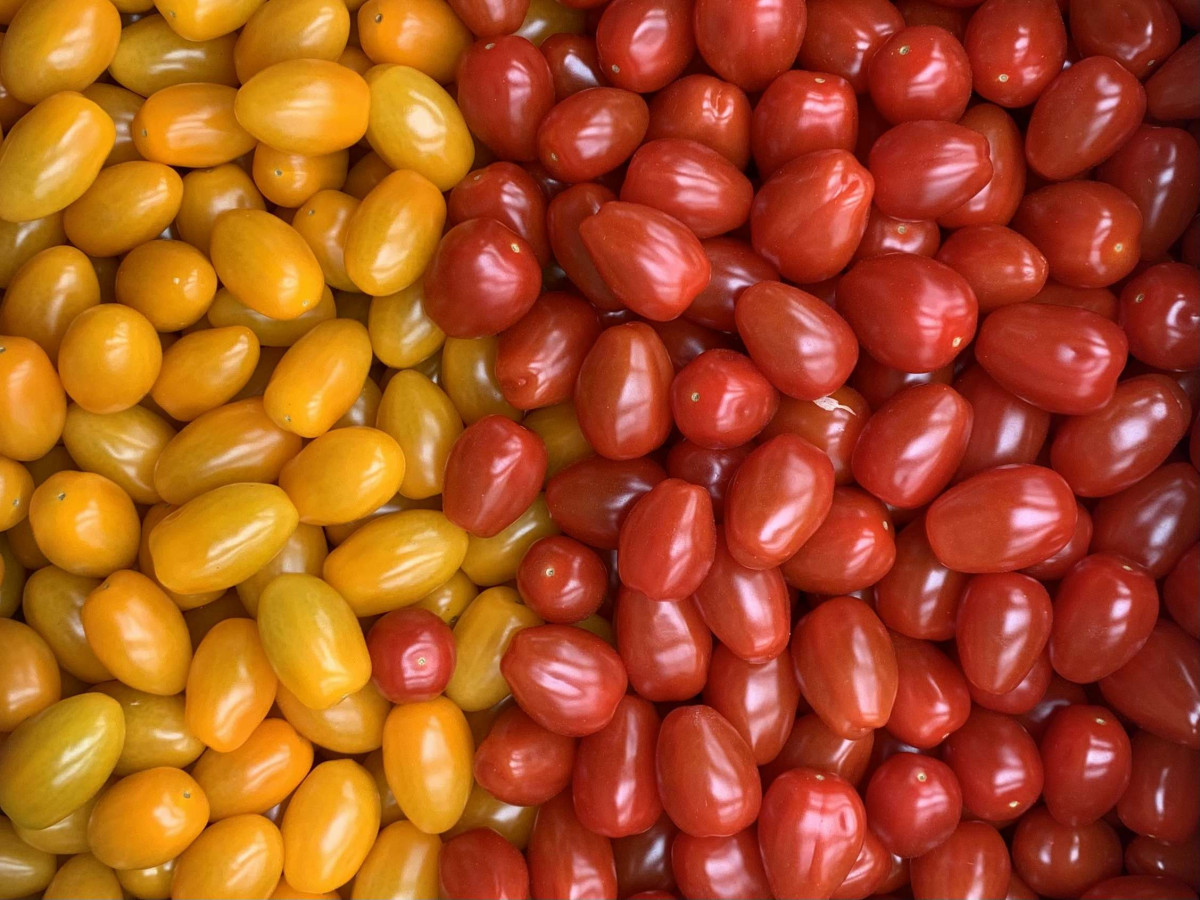 Product picture for Tomatoes, Mixed Plum - UK