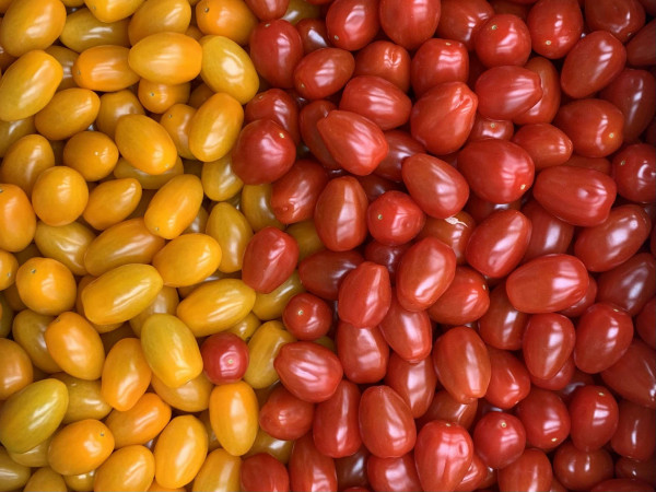 Thumbnail image for Tomatoes, Mixed Plum - UK