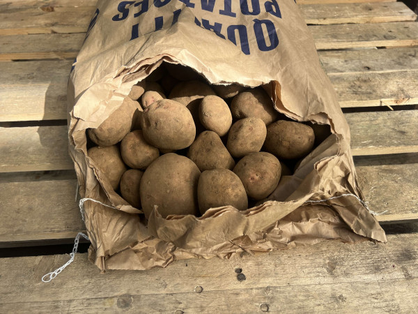 Thumbnail image for Potatoes, Red Cara - UK