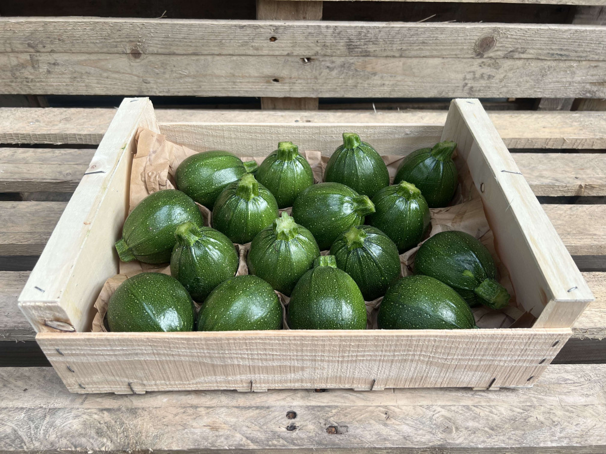 Product picture for Courgette, Round