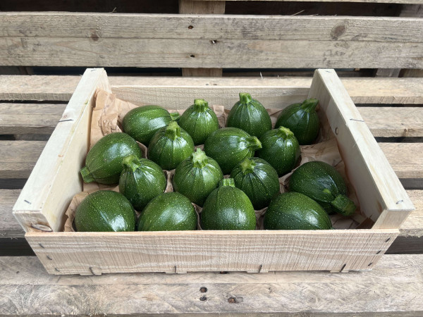 Thumbnail image for Courgette, Round