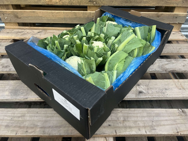 Thumbnail image for Cauliflower UK