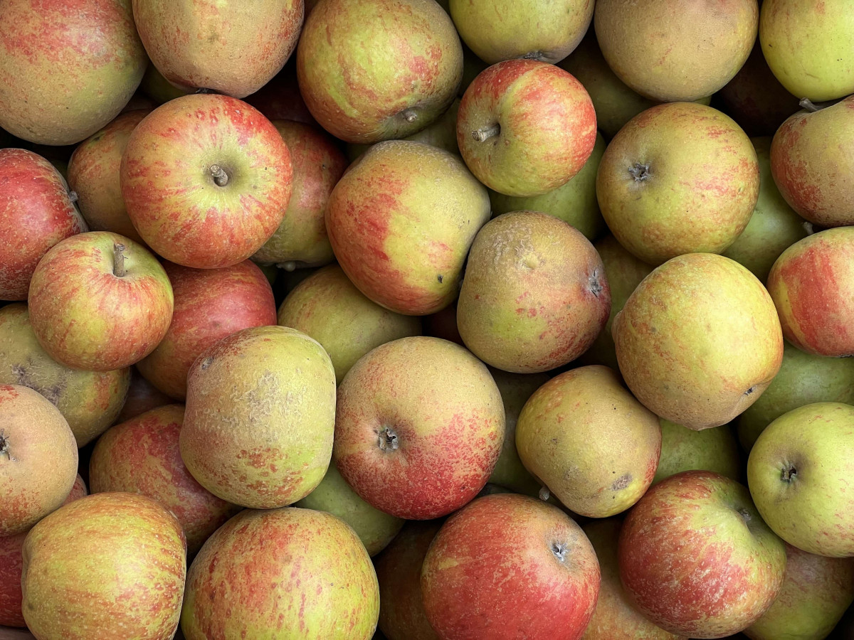 Product picture for Apple, Cox