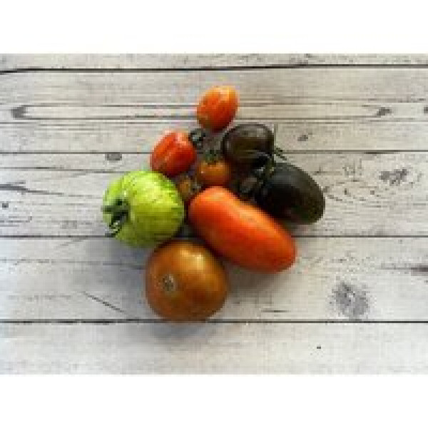 Thumbnail image for Mixed Heritage Tomato