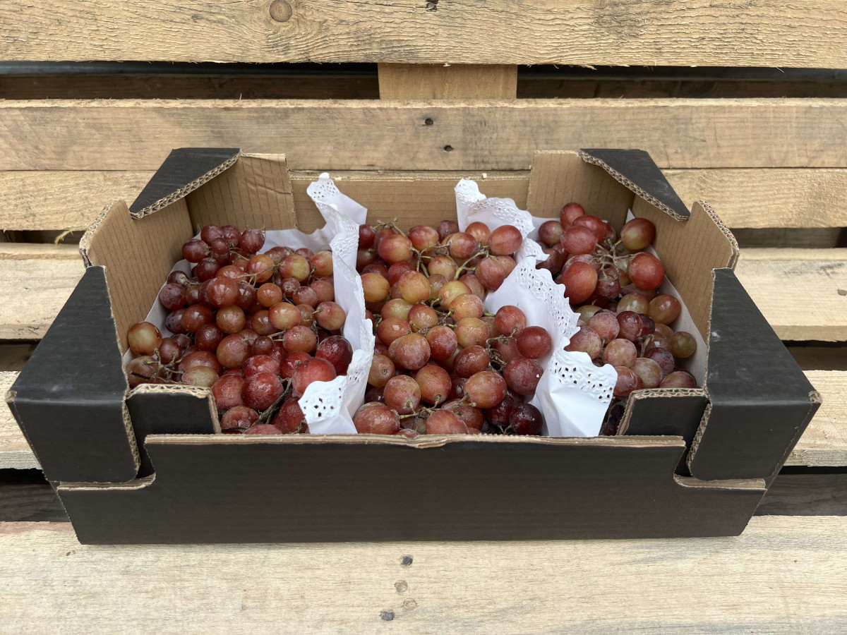 Product picture for Grapes, Red Seedless