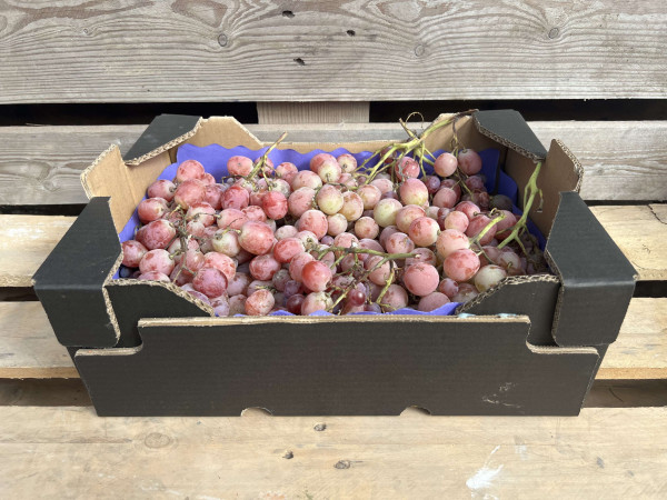 Thumbnail image for Grapes, Red Seedless