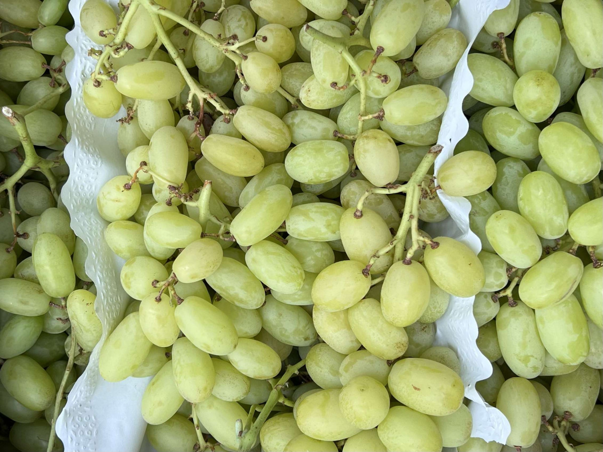 Product picture for Grapes - White Seedless