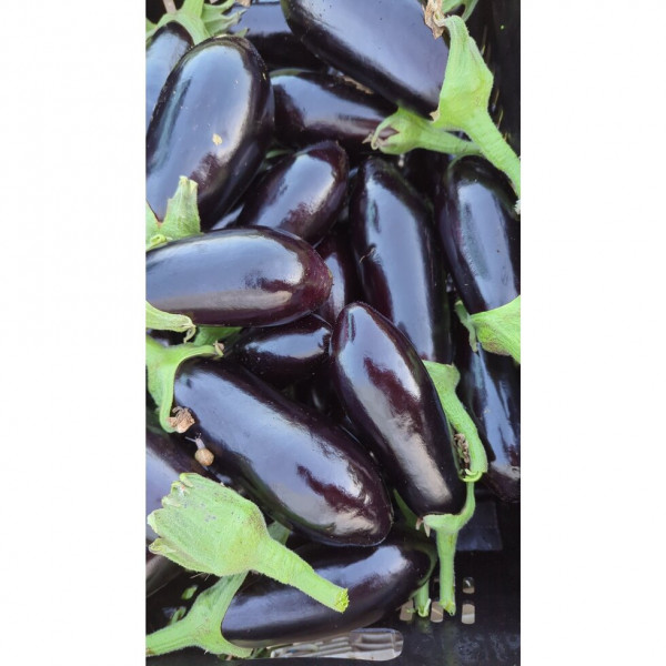 Thumbnail image for Aubergine