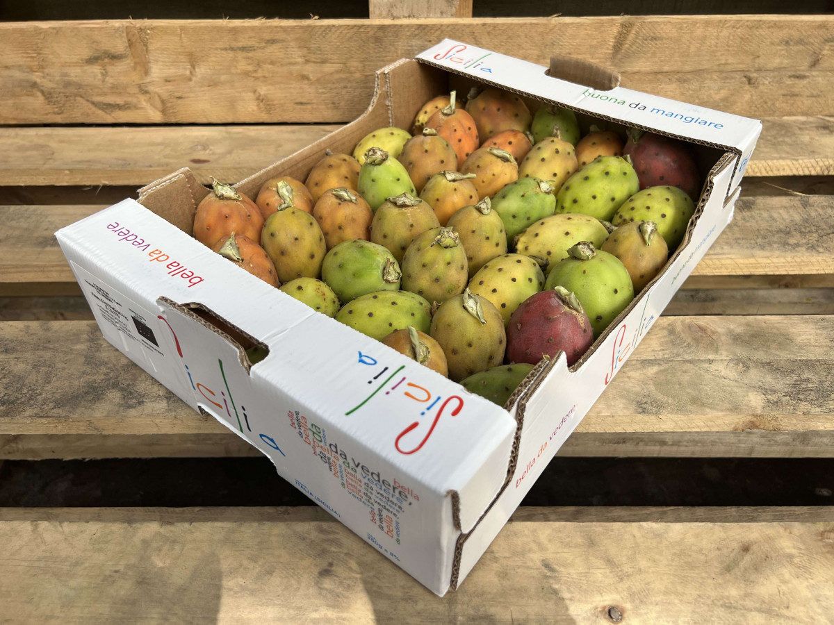 Product picture for Prickly Pear