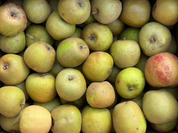 Thumbnail image for Apples, Claygate Pearmain