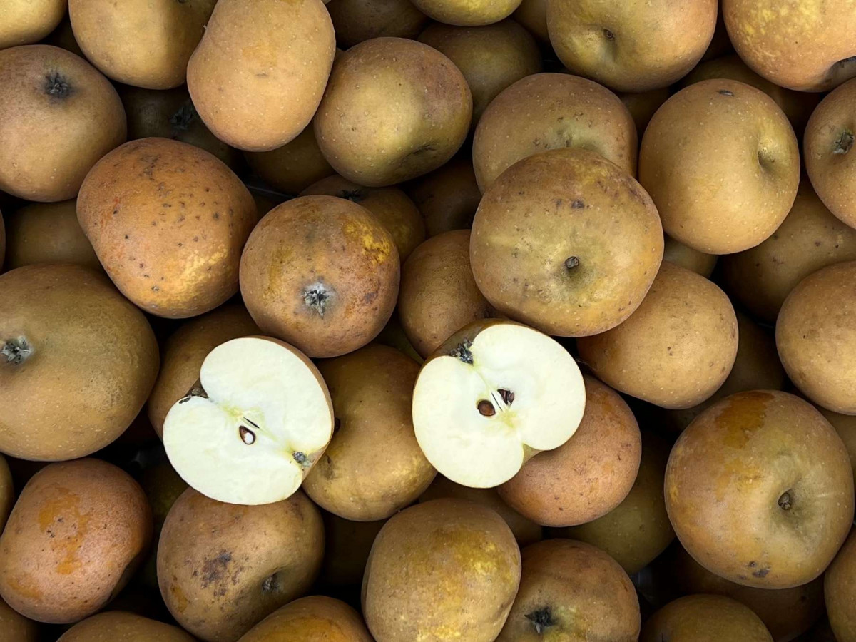 Product picture for Apples Rosemary Russet