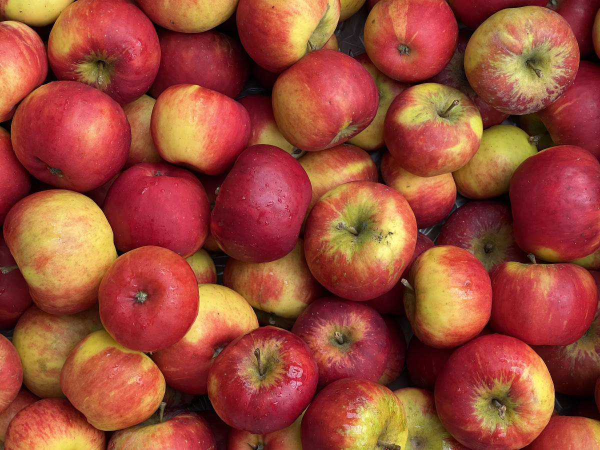 Product picture for Apples, Topaz