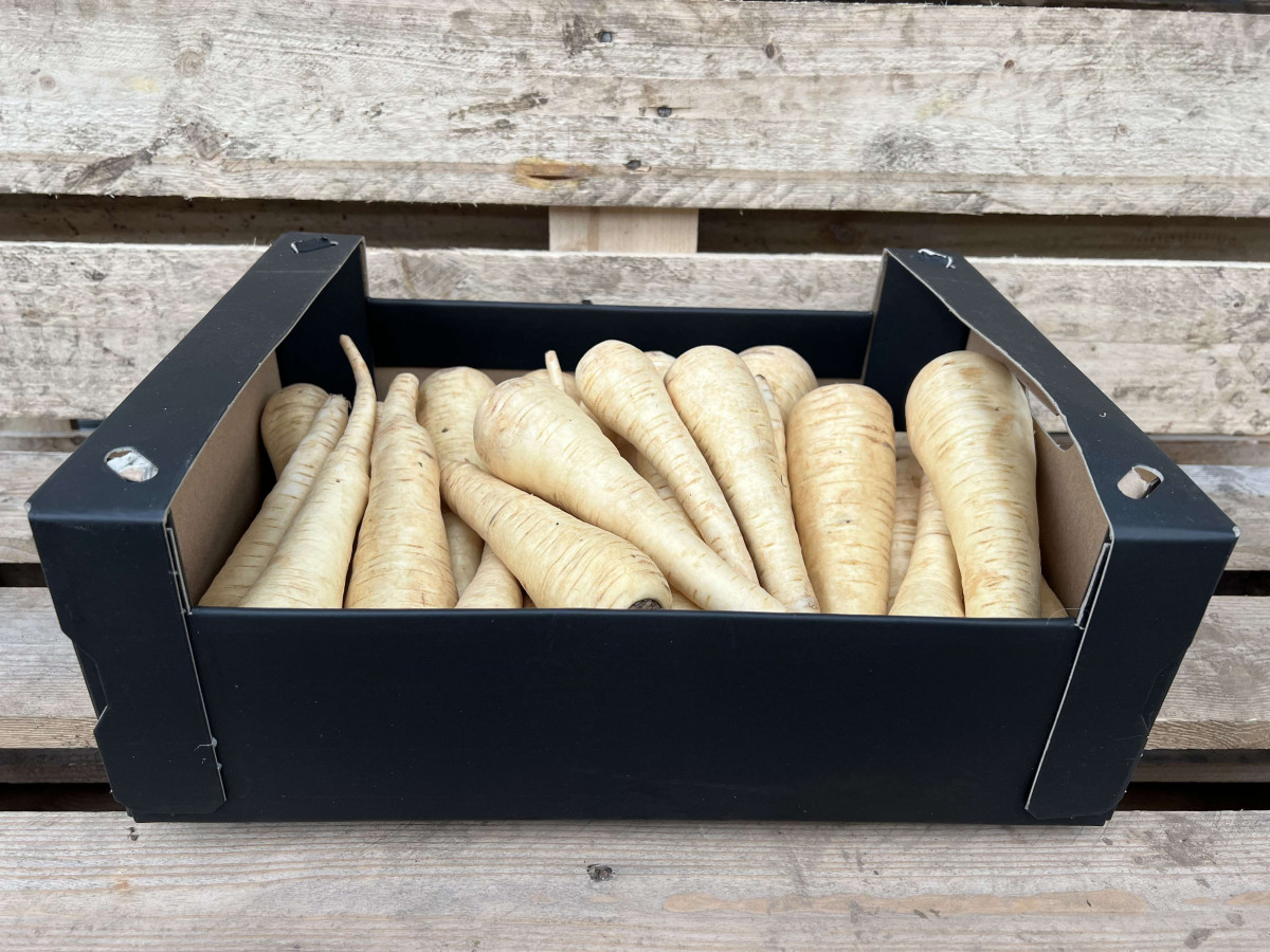 Product picture for Parsnips