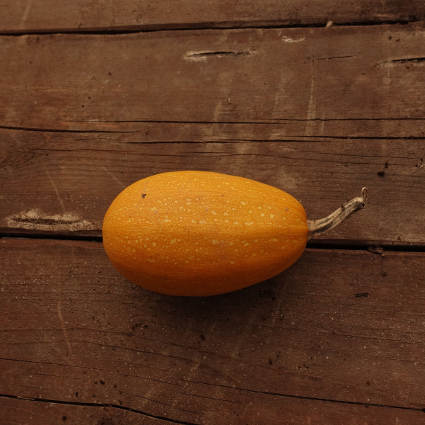Thumbnail image for Squash, Winter - Spaghetti