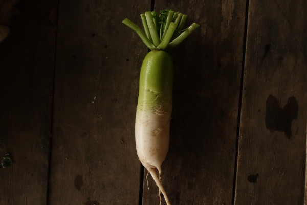 Thumbnail image for Radish, Winter - Mooli