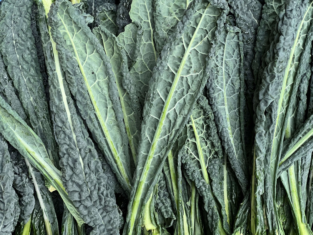 Product picture for Kale, Cavolo Nero