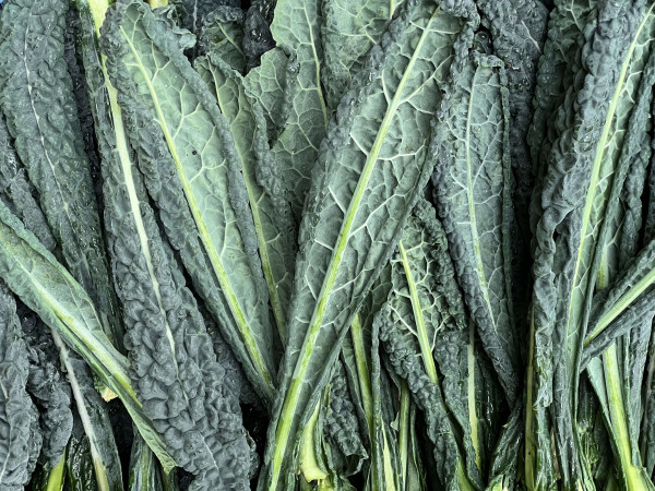 Thumbnail image for Kale, Cavolo Nero