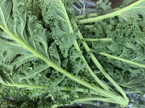 Thumbnail image for Kale, Curly