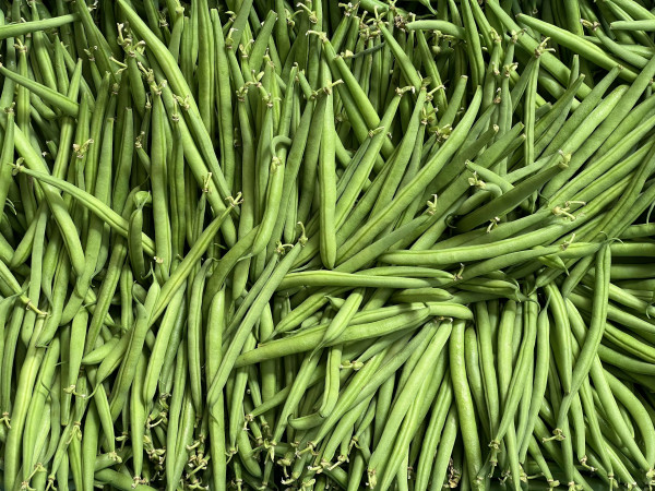 Thumbnail image for French Beans